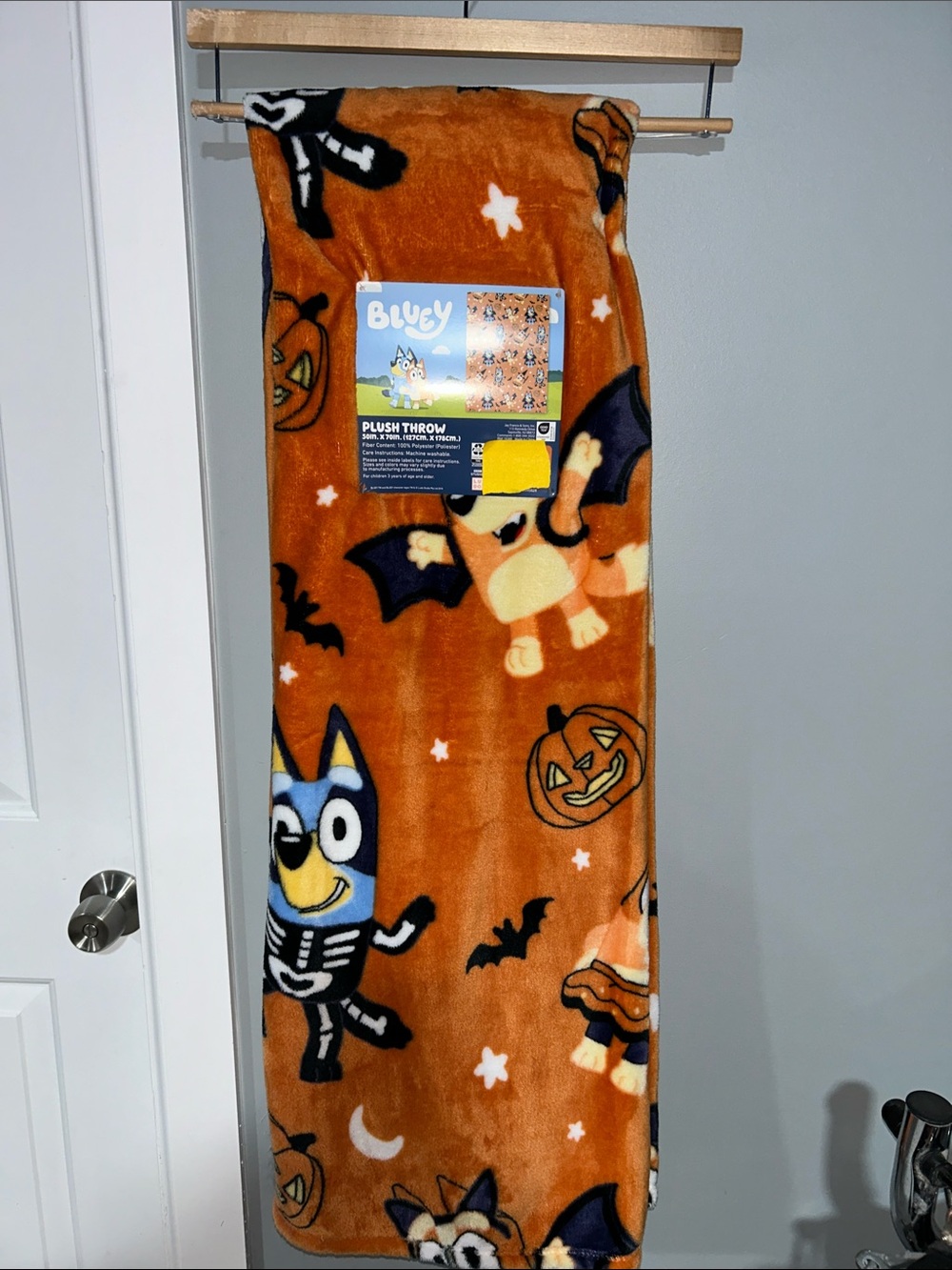 Bluey and Bingo Halloween Plush Throw Blanket